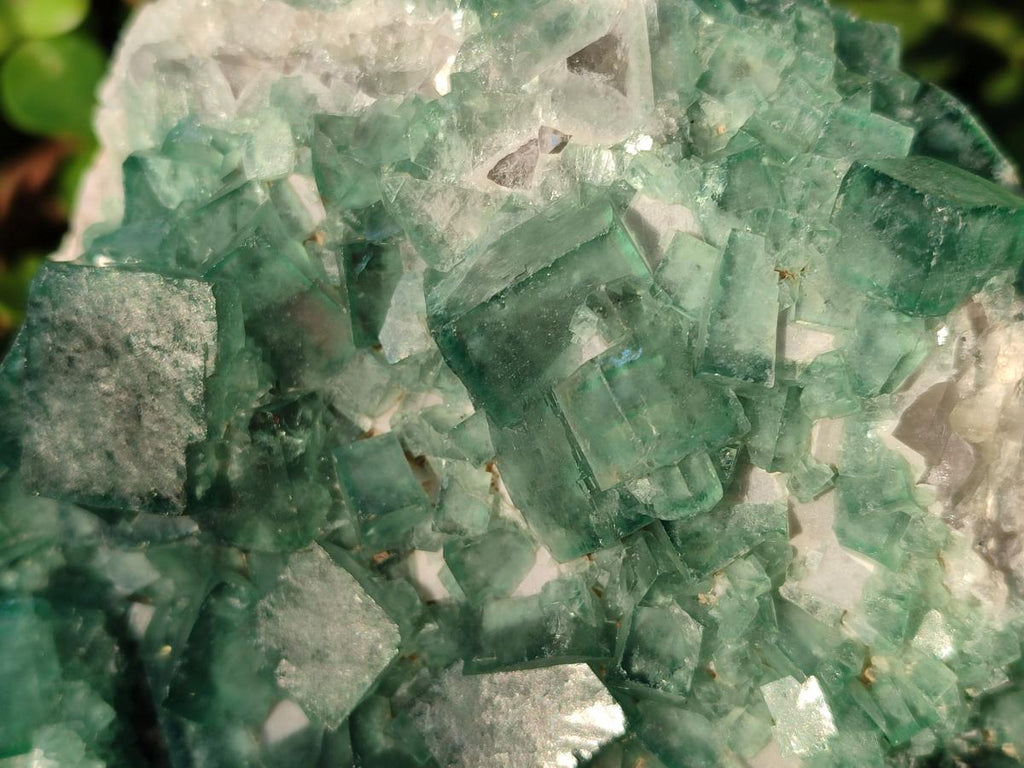 Natural Large Green Cubic Fluorite Specimen x 1 From Mandrosonoro, Madagascar - Toprock Gemstones and Minerals 