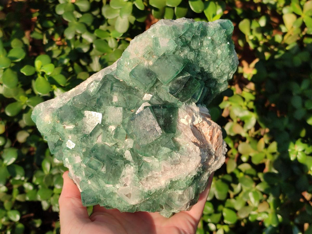 Natural Large Green Cubic Fluorite Specimen x 1 From Mandrosonoro, Madagascar - Toprock Gemstones and Minerals 