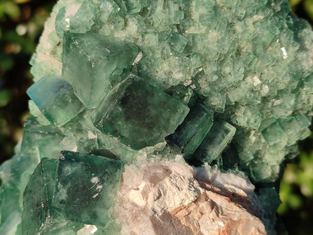 Natural Large Green Cubic Fluorite Specimen x 1 From Mandrosonoro, Madagascar - Toprock Gemstones and Minerals 