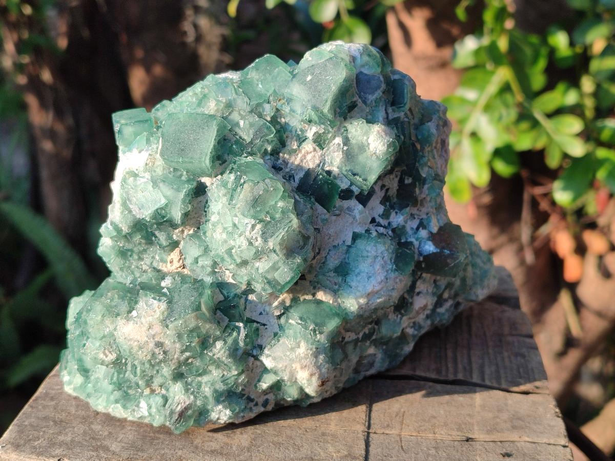 Natural Large Green Cubic Fluorite Specimen x 1 From Mandrosonoro, Madagascar - Toprock Gemstones and Minerals 