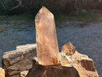 Polished Smokey Quartz Crystals x 2 From Madagascar - Toprock Gemstones and Minerals 