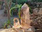 Polished Smokey Quartz Crystals x 2 From Madagascar - Toprock Gemstones and Minerals 