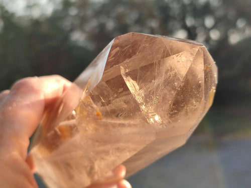 Polished Smokey Quartz Crystals x 2 From Madagascar - Toprock Gemstones and Minerals 