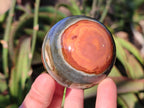 Polished Polychrome Jasper Spheres x 6 From NW Coast, Madagascar - Toprock Gemstones and Minerals 