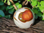 Polished Polychrome Jasper Spheres x 6 From NW Coast, Madagascar - Toprock Gemstones and Minerals 