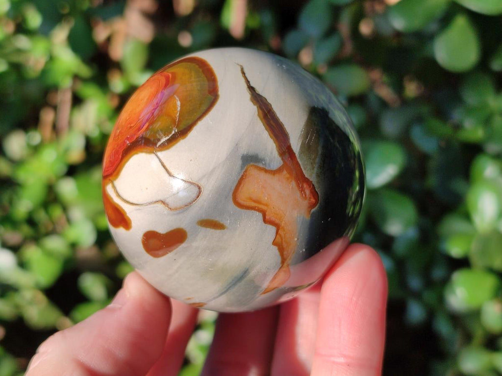 Polished Polychrome Jasper Spheres x 6 From NW Coast, Madagascar - Toprock Gemstones and Minerals 