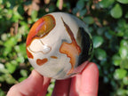 Polished Polychrome Jasper Spheres x 6 From NW Coast, Madagascar - Toprock Gemstones and Minerals 