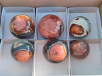Polished Polychrome Jasper Spheres x 6 From NW Coast, Madagascar - Toprock Gemstones and Minerals 