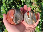 Polished Polychrome Jasper Spheres x 6 From NW Coast, Madagascar - Toprock Gemstones and Minerals 