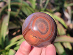 Polished Polychrome Jasper Spheres x 6 From NW Coast, Madagascar - Toprock Gemstones and Minerals 
