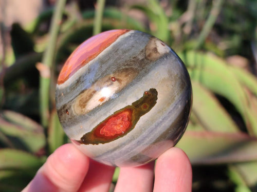 Polished Polychrome Jasper Spheres x 6 From NW Coast, Madagascar - Toprock Gemstones and Minerals 