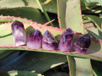 Polished Small Dark Purple Amethyst Crystals x 35 From Akansobe, Madagascar - Toprock Gemstones and Minerals 