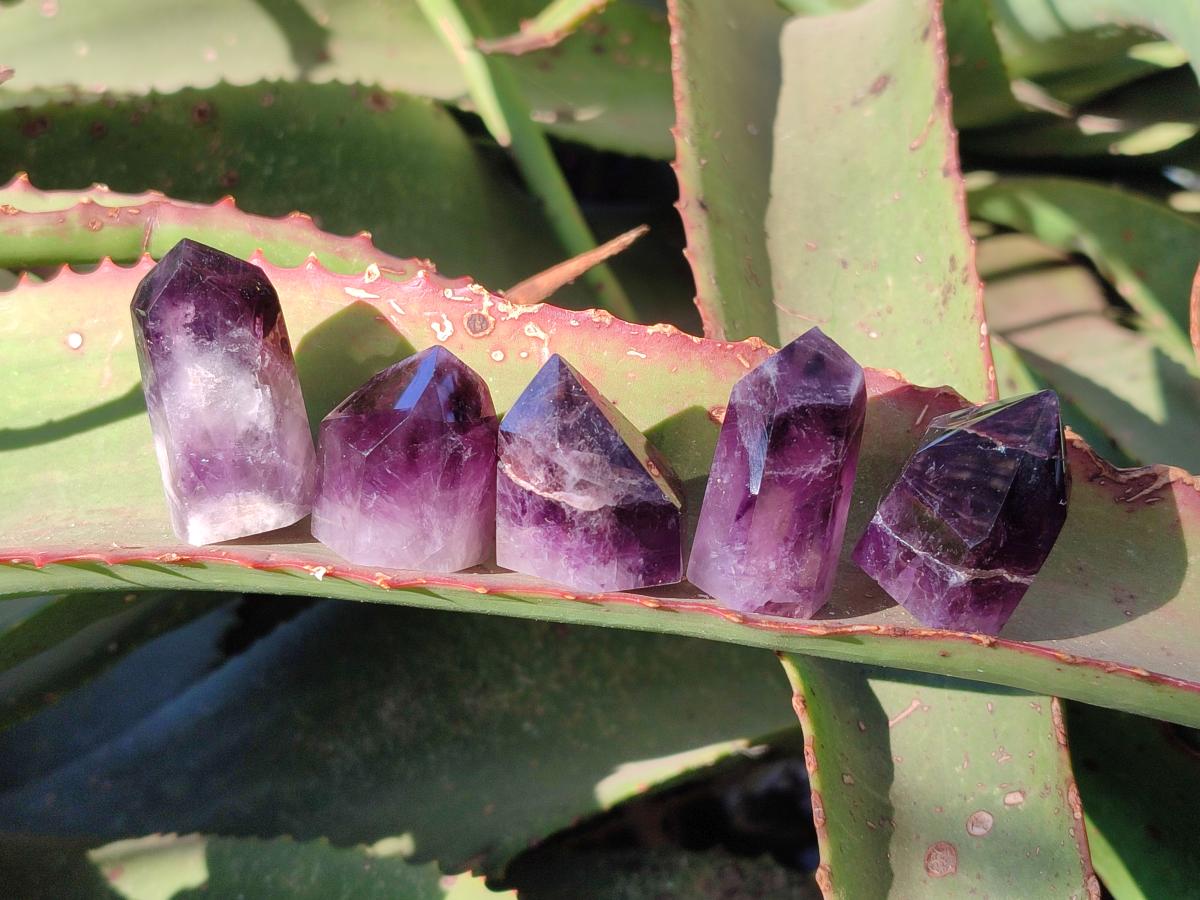 Polished Small Dark Purple Amethyst Crystals x 35 From Akansobe, Madagascar - Toprock Gemstones and Minerals 