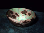 Polished Large Septerye Bowl x 1 From Mahajanga, Madagascar - Toprock Gemstones and Minerals 