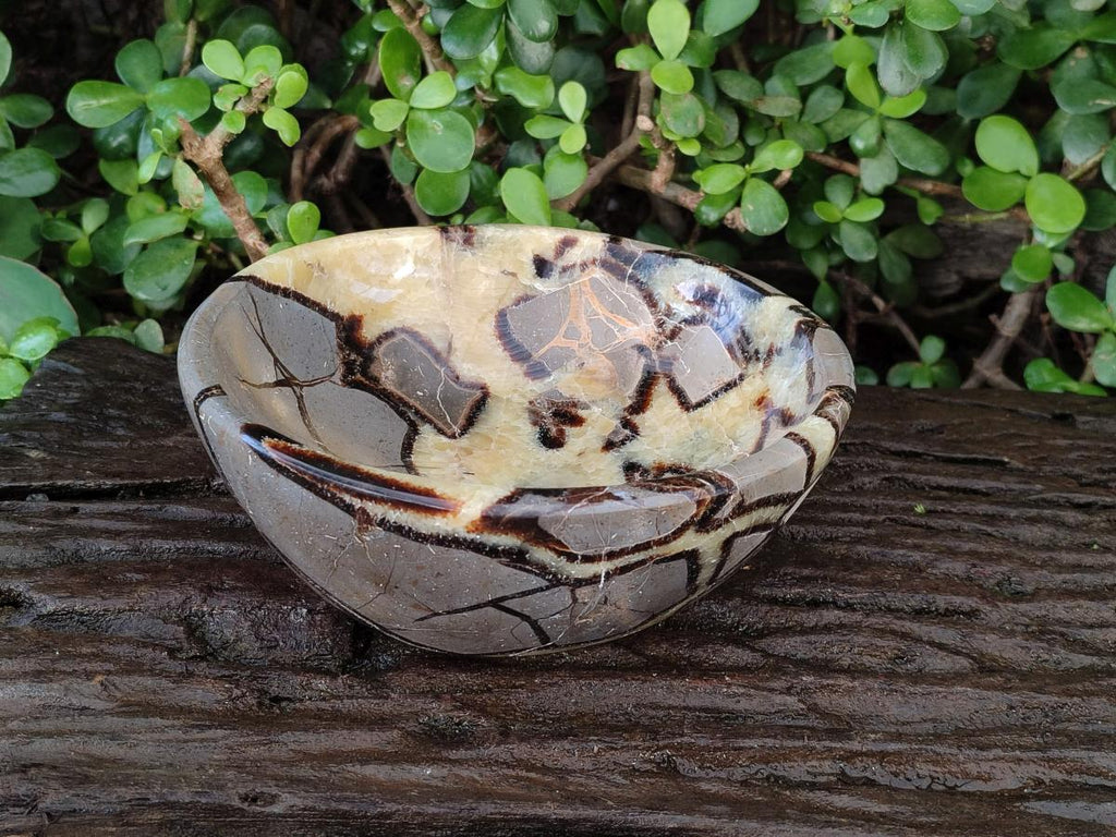 Polished Large Septerye Bowl x 1 From Mahajanga, Madagascar - Toprock Gemstones and Minerals 