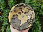 Polished Large Septerye Bowl x 1 From Mahajanga, Madagascar - Toprock Gemstones and Minerals 