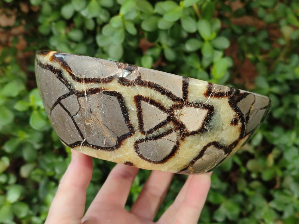 Polished Large Septerye Bowl x 1 From Mahajanga, Madagascar - Toprock Gemstones and Minerals 