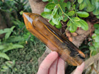 Polished Golden Tigers Eye Display Crystals x 4 From Prieska, South Africa - Toprock Gemstones and Minerals 