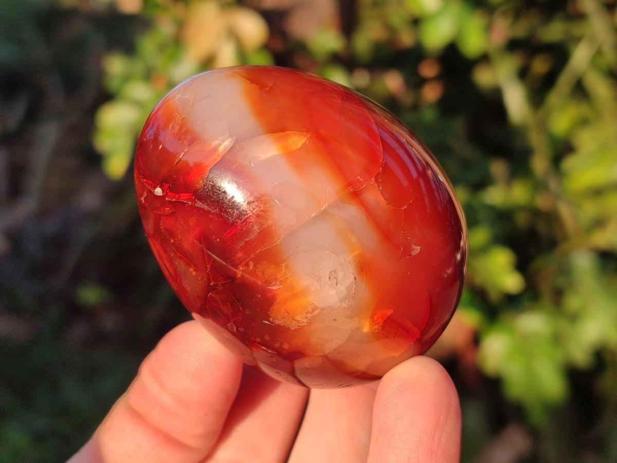 Polished Carnelian Agate Gemstone Eggs x 6 From Madagascar - Toprock Gemstones and Minerals 