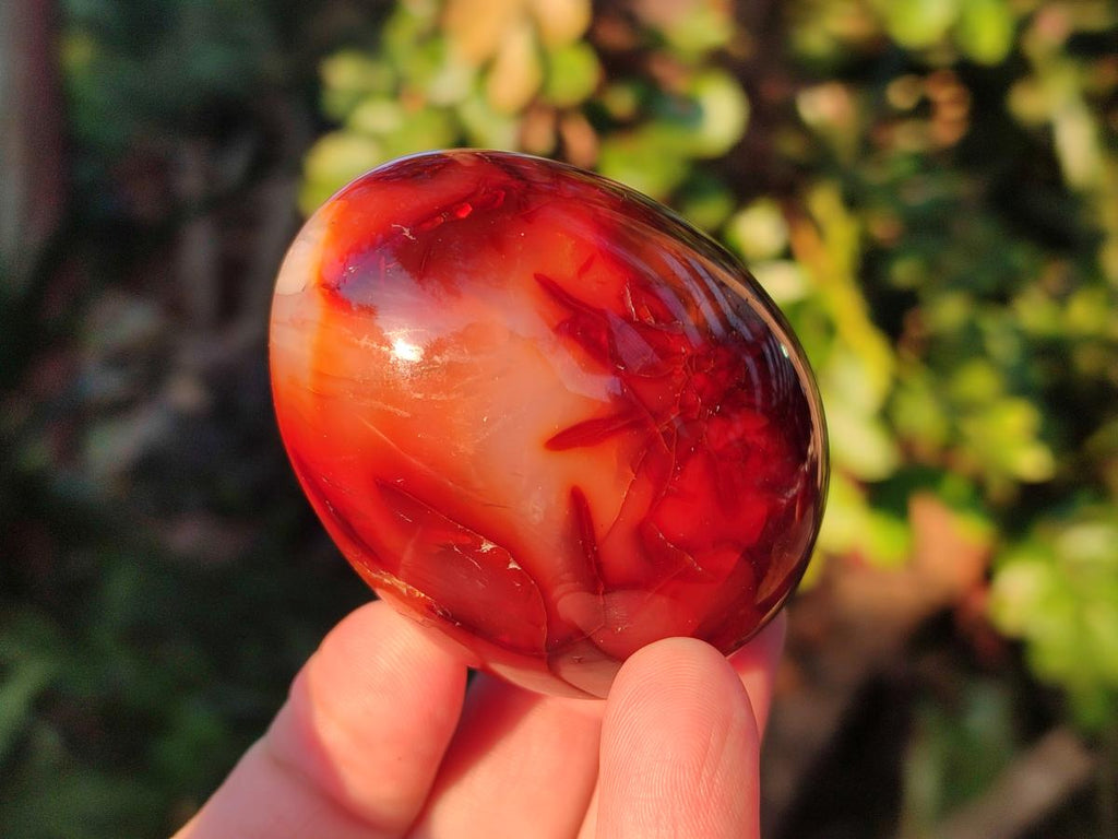 Polished Carnelian Agate Gemstone Eggs x 6 From Madagascar - Toprock Gemstones and Minerals 