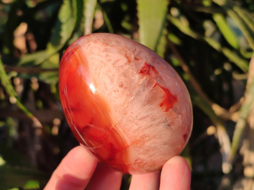 Polished Carnelian Agate Gemstone Eggs x 6 From Madagascar - Toprock Gemstones and Minerals 