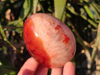 Polished Carnelian Agate Gemstone Eggs x 6 From Madagascar - Toprock Gemstones and Minerals 