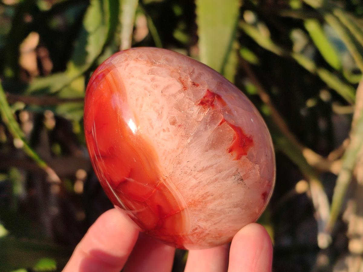 Polished Carnelian Agate Gemstone Eggs x 6 From Madagascar - Toprock Gemstones and Minerals 
