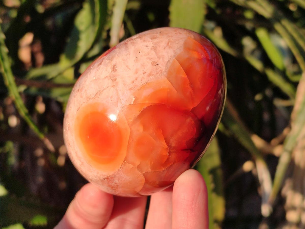 Polished Carnelian Agate Gemstone Eggs x 6 From Madagascar - Toprock Gemstones and Minerals 