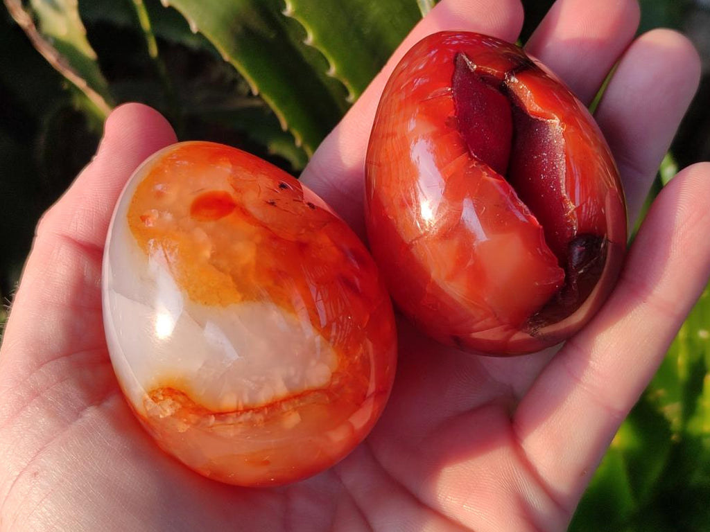 Polished Carnelian Agate Gemstone Eggs x 6 From Madagascar - Toprock Gemstones and Minerals 