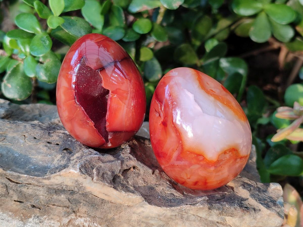 Polished Carnelian Agate Gemstone Eggs x 6 From Madagascar - Toprock Gemstones and Minerals 