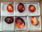 Polished Carnelian Agate Gemstone Eggs x 6 From Madagascar - Toprock Gemstones and Minerals 