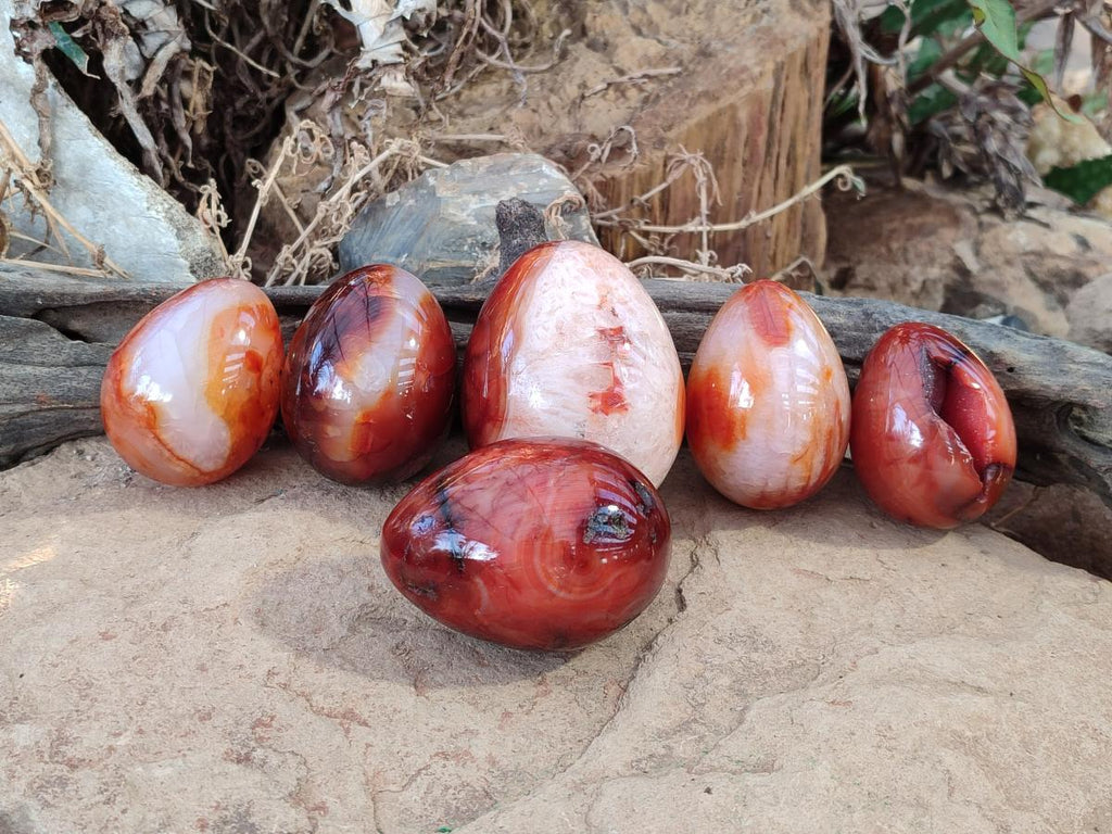 Polished Carnelian Agate Gemstone Eggs x 6 From Madagascar - Toprock Gemstones and Minerals 