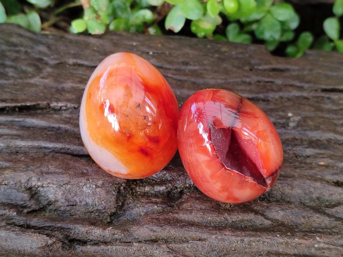 Polished Carnelian Agate Gemstone Eggs x 6 From Madagascar - Toprock Gemstones and Minerals 