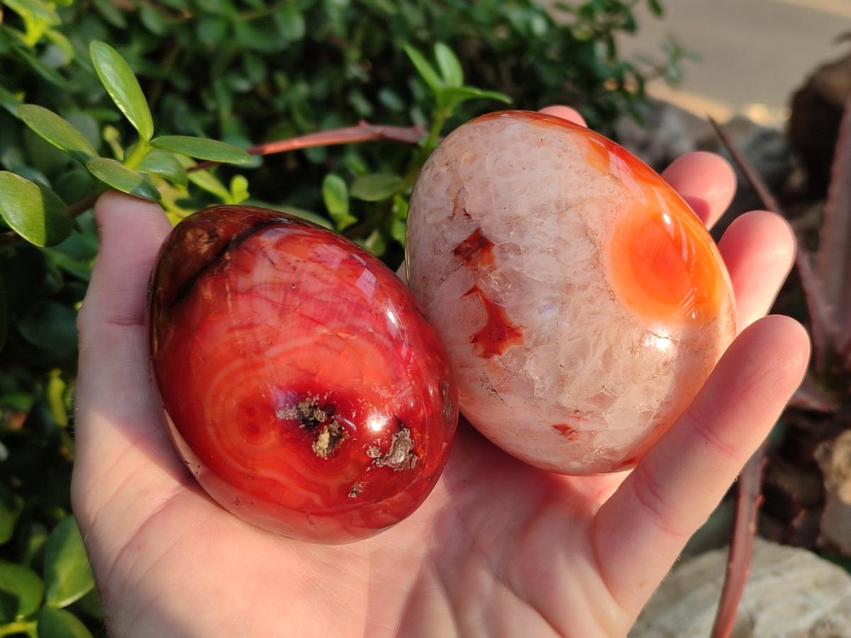 Polished Carnelian Agate Gemstone Eggs x 6 From Madagascar - Toprock Gemstones and Minerals 
