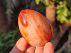 Polished Carnelian Agate Gemstone Eggs x 6 From Madagascar - Toprock Gemstones and Minerals 