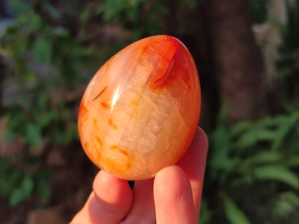 Polished Carnelian Agate Gemstone Eggs x 6 From Madagascar - Toprock Gemstones and Minerals 
