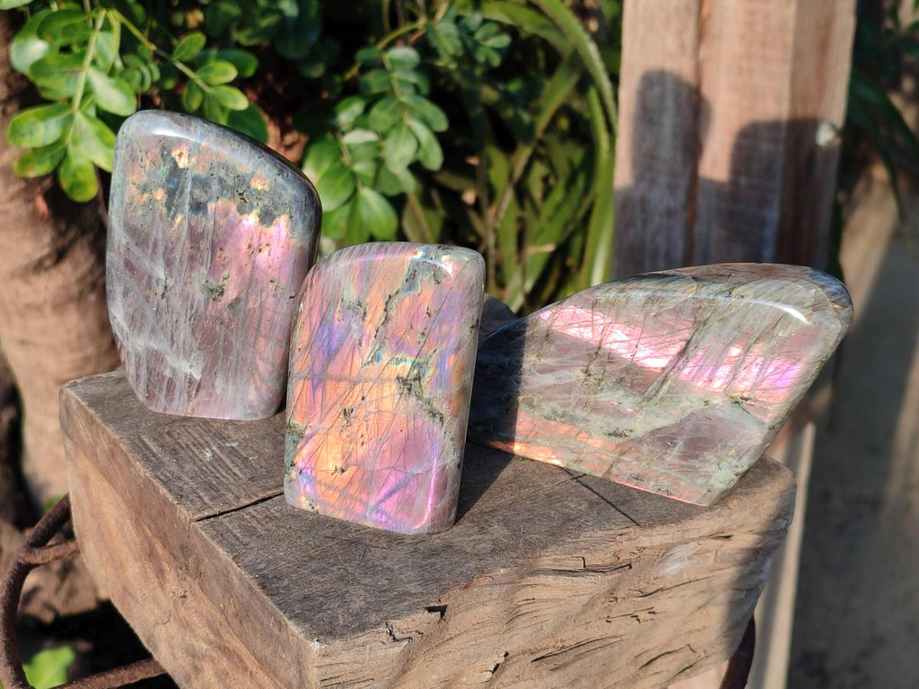 Polished Rare Purple Sunset Flash Labradorite Standing Display Pieces x 3 From Madagascar - Toprock Gemstones and Minerals 