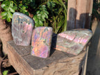 Polished Rare Purple Sunset Flash Labradorite Standing Display Pieces x 3 From Madagascar - Toprock Gemstones and Minerals 