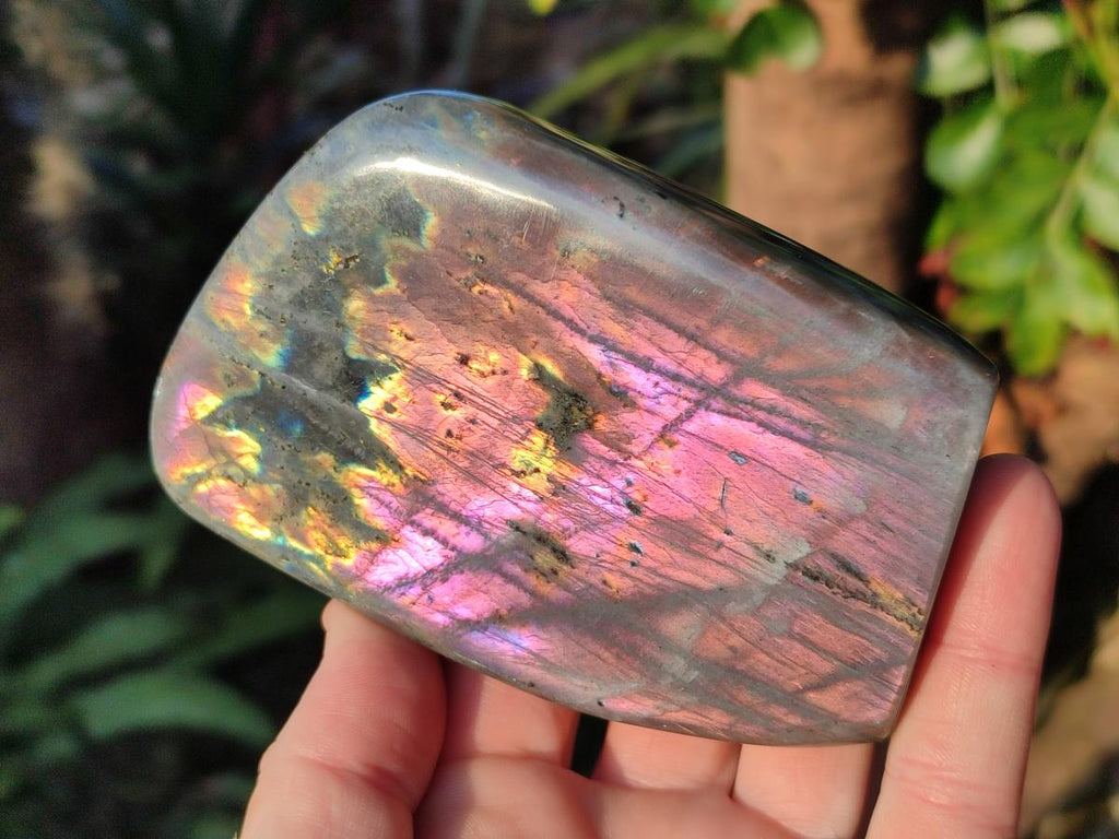 Polished Rare Purple Sunset Flash Labradorite Standing Display Pieces x 3 From Madagascar - Toprock Gemstones and Minerals 