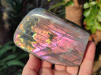 Polished Rare Purple Sunset Flash Labradorite Standing Display Pieces x 3 From Madagascar - Toprock Gemstones and Minerals 