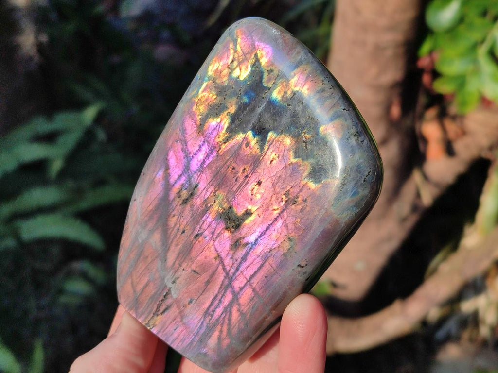 Polished Rare Purple Sunset Flash Labradorite Standing Display Pieces x 3 From Madagascar - Toprock Gemstones and Minerals 