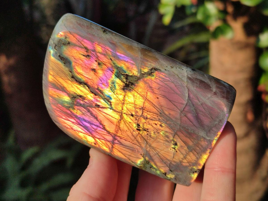 Polished Rare Purple Sunset Flash Labradorite Standing Display Pieces x 3 From Madagascar - Toprock Gemstones and Minerals 
