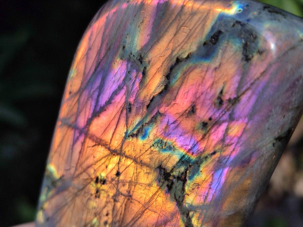 Polished Rare Purple Sunset Flash Labradorite Standing Display Pieces x 3 From Madagascar - Toprock Gemstones and Minerals 