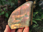 Polished Rare Purple Sunset Flash Labradorite Standing Display Pieces x 3 From Madagascar - Toprock Gemstones and Minerals 
