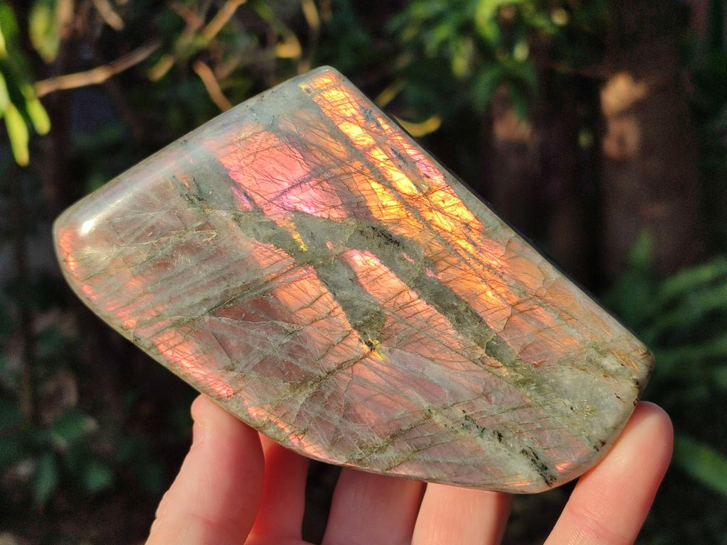Polished Rare Purple Sunset Flash Labradorite Standing Display Pieces x 3 From Madagascar - Toprock Gemstones and Minerals 
