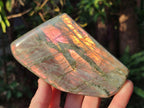 Polished Rare Purple Sunset Flash Labradorite Standing Display Pieces x 3 From Madagascar - Toprock Gemstones and Minerals 
