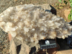 Natural Large Clear Malagasy Quartz Crystal Cluster x 1 From Madagascar - Toprock Gemstones and Minerals 