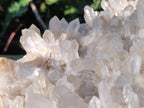 Natural Large Clear Malagasy Quartz Crystal Cluster x 1 From Madagascar - Toprock Gemstones and Minerals 