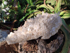 Natural Large Clear Malagasy Quartz Crystal Cluster x 1 From Madagascar - Toprock Gemstones and Minerals 