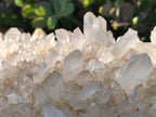 Natural Large Clear Malagasy Quartz Crystal Cluster x 1 From Madagascar - Toprock Gemstones and Minerals 
